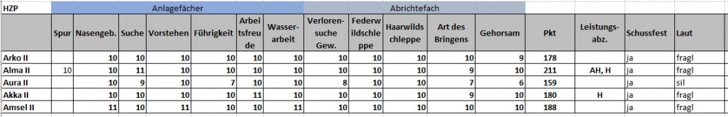 2023-10-19_Auswertung-HZP_A-II-Wurf-vom-Ostetal.jpg