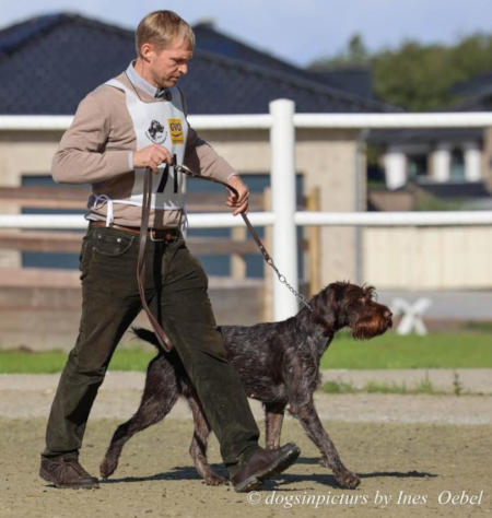 Alma-II-vom-Ostetal_Hegewald2023_450px.jpg