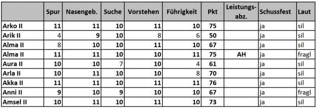 2023-04-24_Auswertung-VJP.jpg